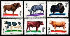 T63 畜牧业--牛邮票