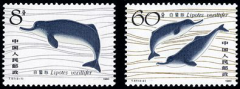 T57 白�D豚邮票