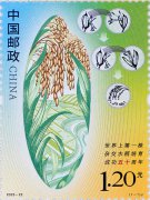 2023年《世界上第一株杂交水稻培