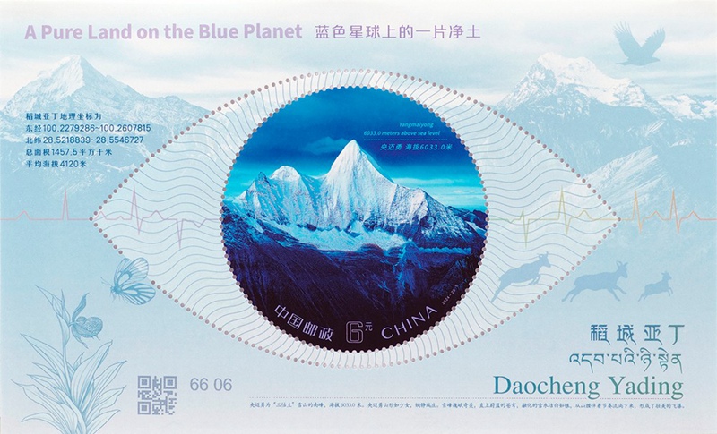 2024Äê¡¶µ¾³ÇÑǶ¡¡·ÌØÖÖÓÊÆ±