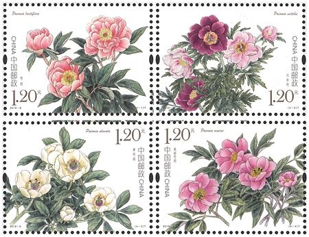 2019-9 《芍药》特种邮票